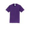 Port & Company Fan Favorite Tee - Image 2